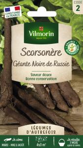 Scorsonère Géante Noire de Russie - Légumes d'Autrefois